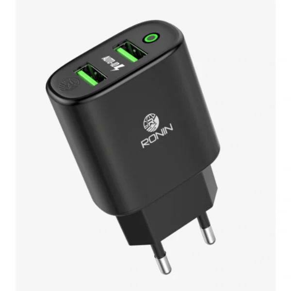 R-828 Dynamic Charger